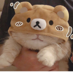 *The Fuzzy cat Squad*