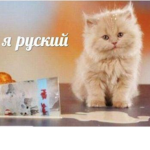 Я русский.