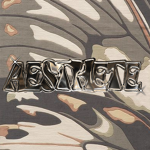 ʚ aesthete ɞ
