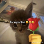 Avocado pl@ys YT