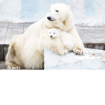 Happy day to all of you .