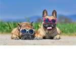 Gravy cool nation