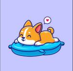 The Corgi Paws!