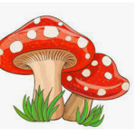Family of mushrooms
