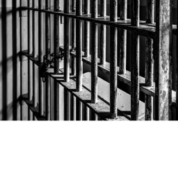 Guest Prison
