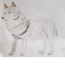 my wolf drawing *Please do not make fun of me😪*