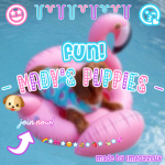 - Mady's Puppies -