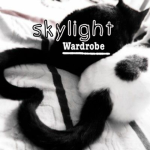 skylight wardrobe