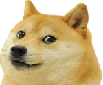 Doges And Doge fans!