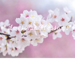 +*Awesome Blossoms*+