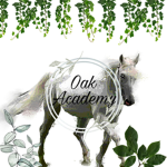 ~Oak Academy~