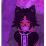Catmaid Studios