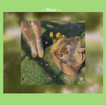 ୨୧ fleur ୨୧