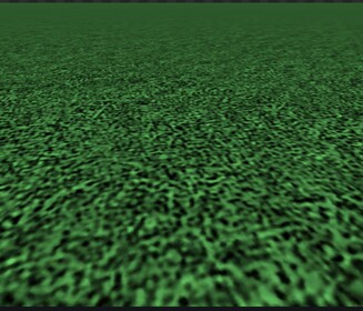 grass