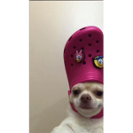 Hood rich girls