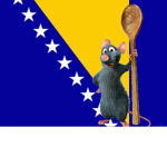 Rat pro group bosnia