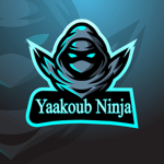 Ninja for fun