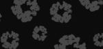 ananlin8