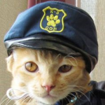 Roger meow
