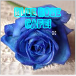 Blue Rose Cafe V2