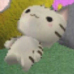 yzyo !