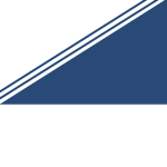 The Blueberry Bandits [TBB]