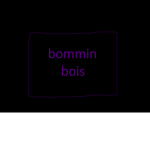 boomin boi's