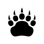super dog yes
