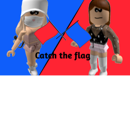 Catch the flag