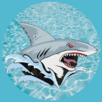Deep Water Studio - DWS