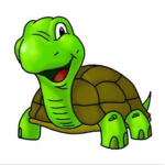 Turtles are the bst