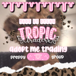 tropic traders ୨୧