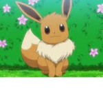 FOREVER EEVEES
