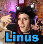 Official Doge INC
