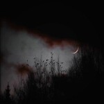 𝐟𝐚𝐥𝐬𝐞 𝐟𝐞𝐞𝐥𝐢𝐧𝐠𝐬