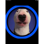 Meme gang brooooooo