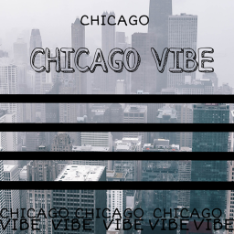 CHICAGO VIBE [NEW]