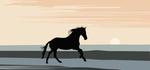 |+| Wild Sky Stables |+|