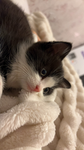 Cloud_cuteness