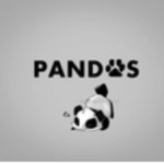The pandas.