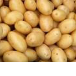 * Smol potatoo *