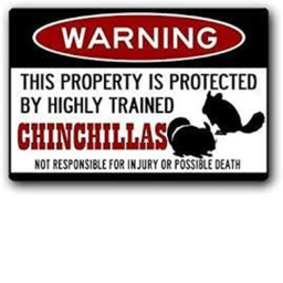 Chinchilla House
