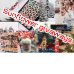 Sunflower givaways