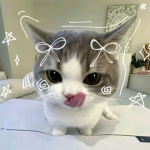 cute my games