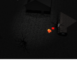 Burned forest