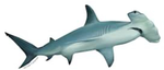 The HamerHaagShark Community