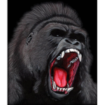 berserk_gorilla's group