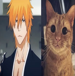 OFFICAL NOAH GROUP PLEASE