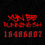 xyn BERUNNIN SH