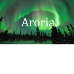 AirAroria TM